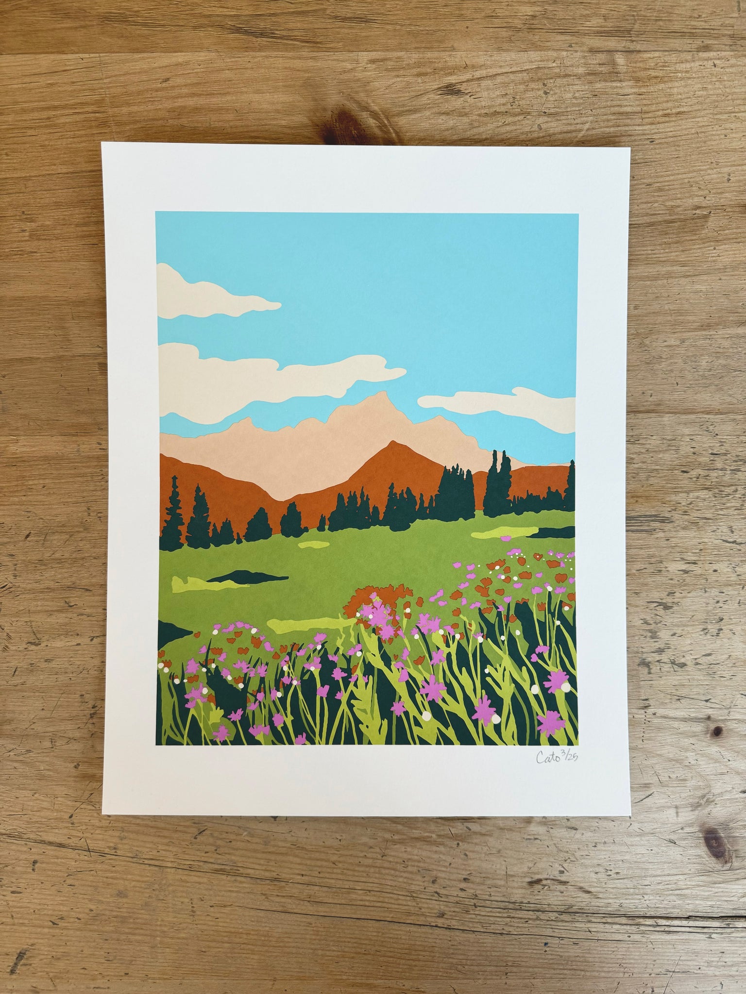 Mountains and Flowers Screenprint