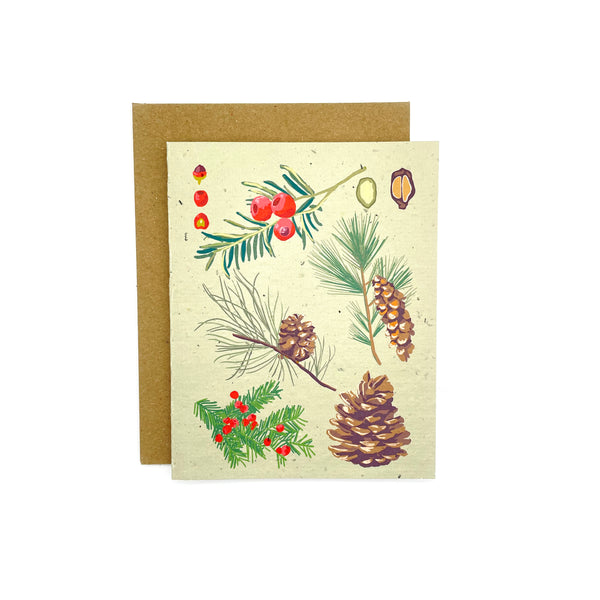 Winter Conifer Card