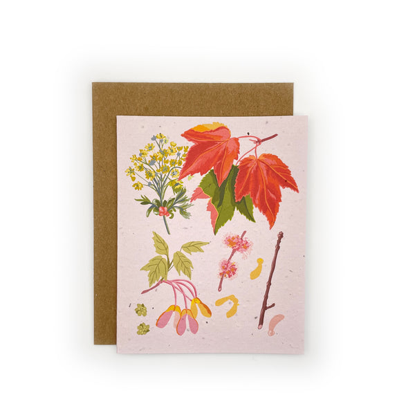 Maple Botanical Blank Card
