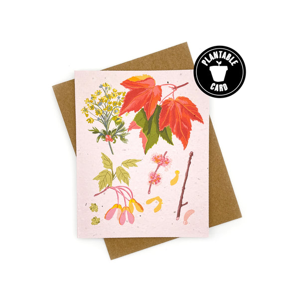 Maple Botanical Blank Card