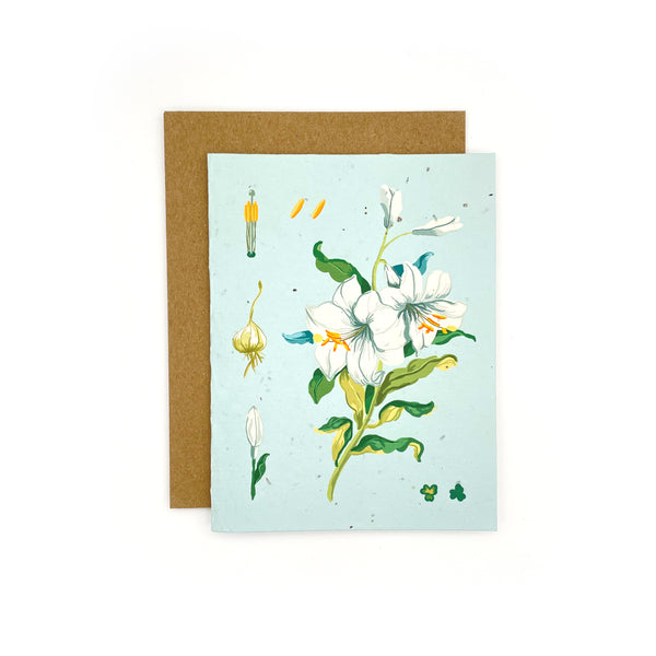 White Lilies Blank Notecard